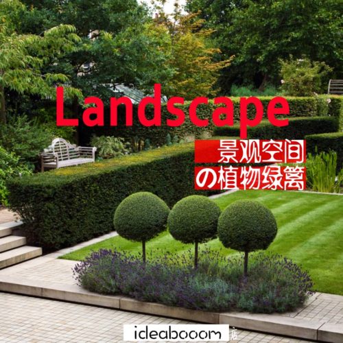 VIP丨景观绿篱植物设计-案例图库